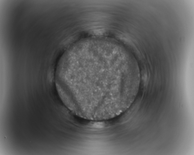 X0000088140665200706111426