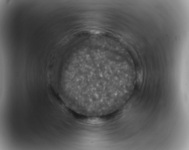 X0000088140666200706111426