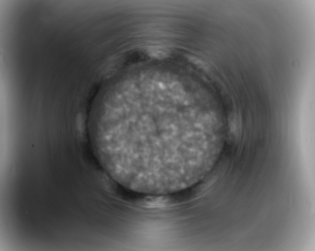 X0000088140667200706111426