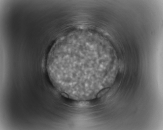 X0000088140670200706111426