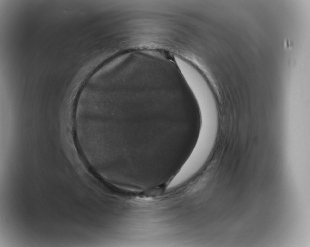 X0000088140673200706111426