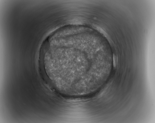 X0000088140675200706111426