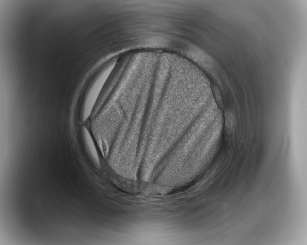 X0000088140676200706111426