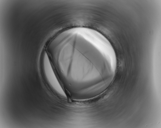 X0000088140678200706111426