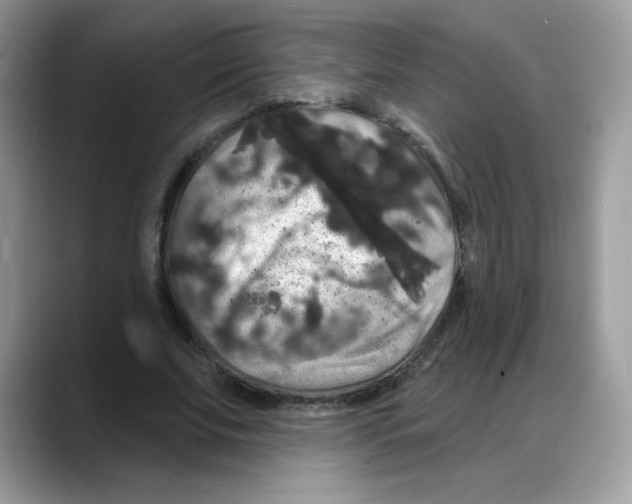 X0000088140679200706111426