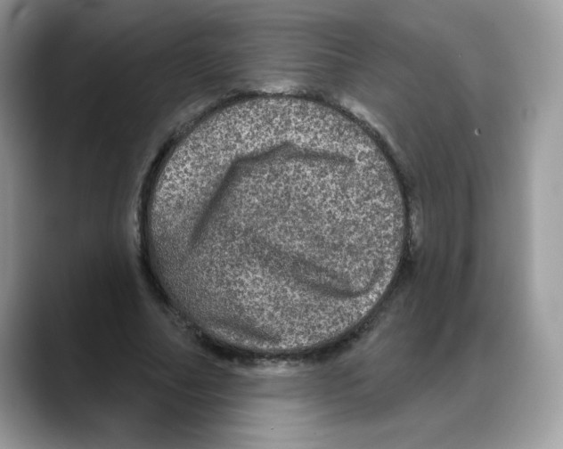 X0000088140682200706111426