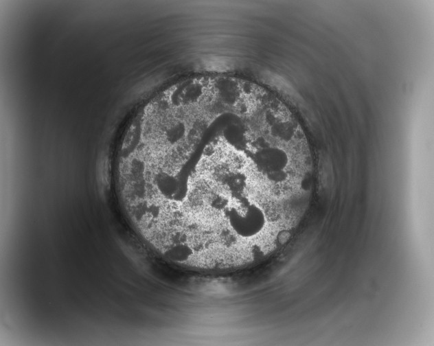 X0000088140683200706111426