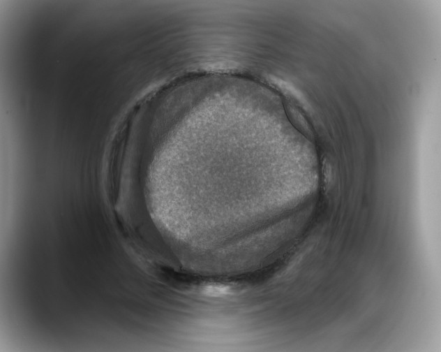 X0000088140684200706111426