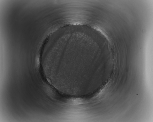 X0000088140685200706111426