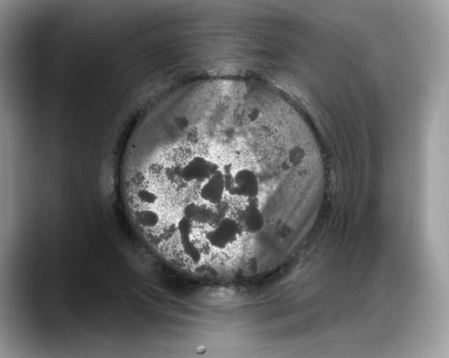 X0000088140687200706111426