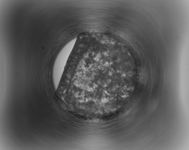 X0000088140695200706111425