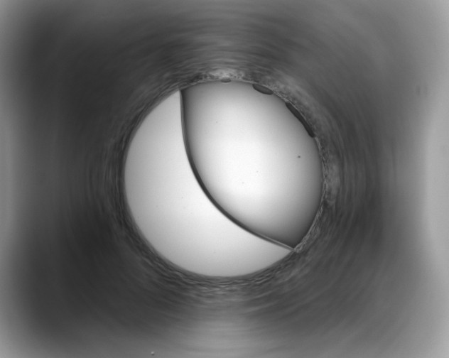 X0000088140696200706111425