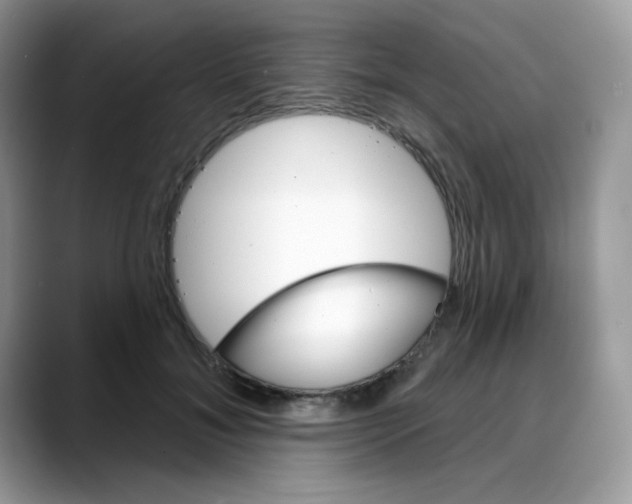 X0000088140700200706111425