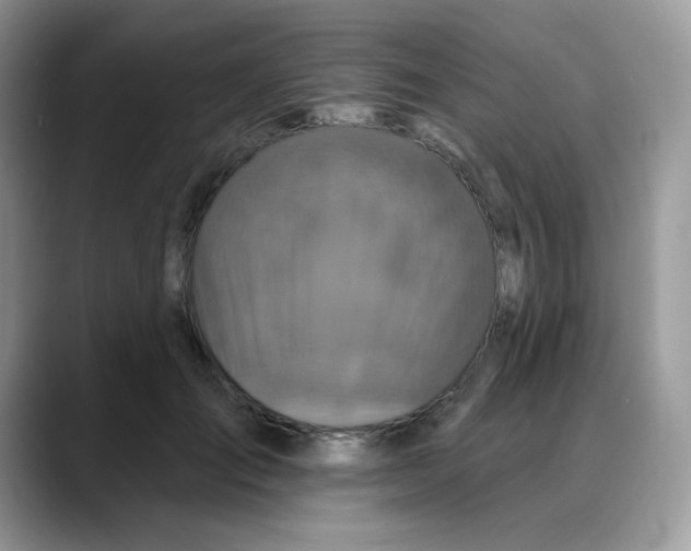 X0000088140701200706111425