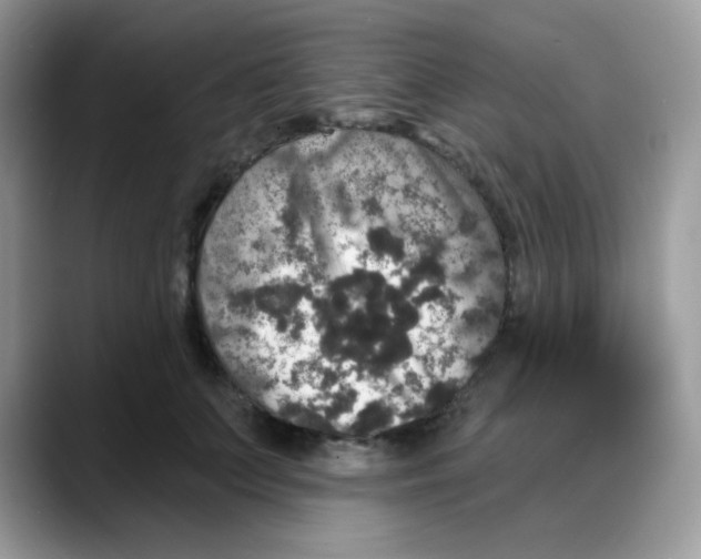 X0000088140703200706111425