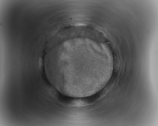 X0000088140704200706111425