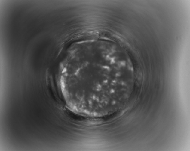 X0000088140707200706111425