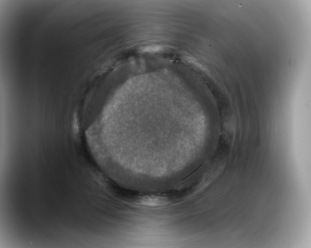 X0000088140708200706111425