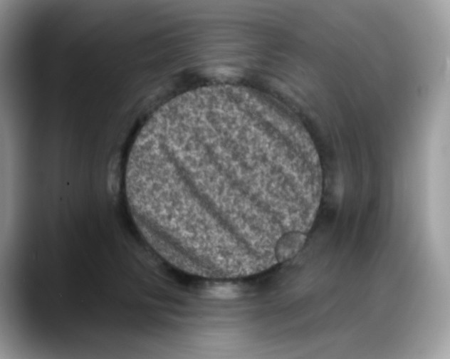 X0000088140710200706111425