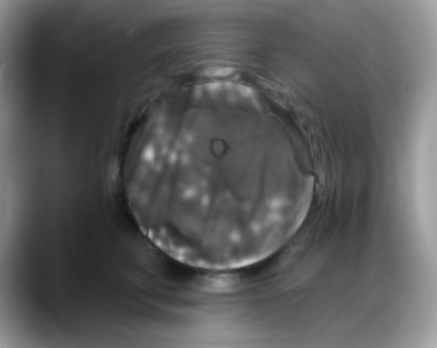 X0000088140711200706111425