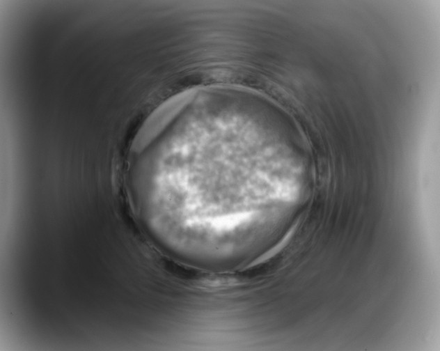 X0000088140712200706111425