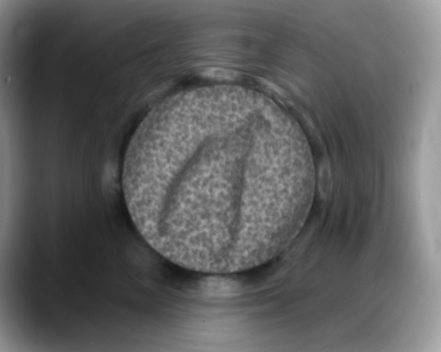 X0000088140714200706111425