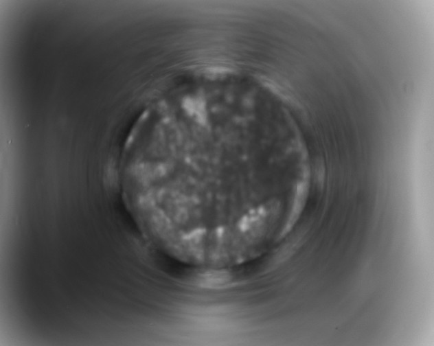 X0000088140719200706111425