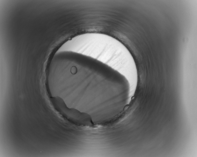 X0000088140721200706111425