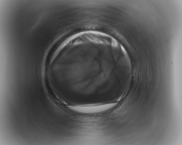 X0000088140722200706111425