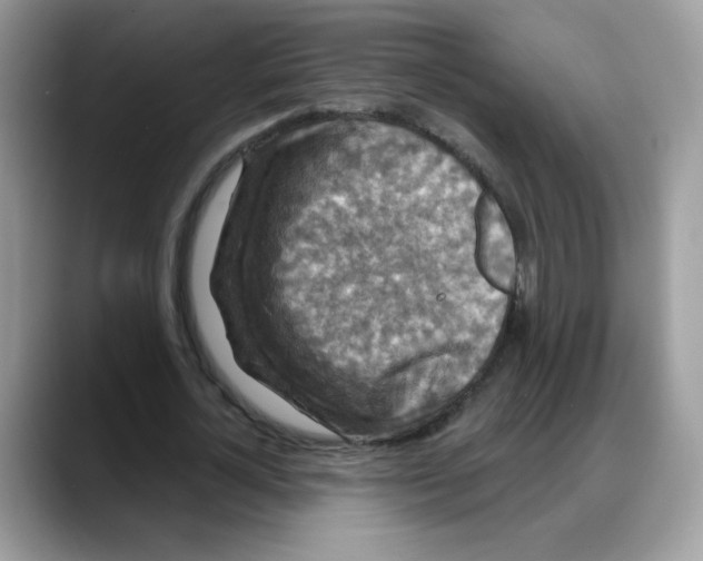 X0000088140724200706111425