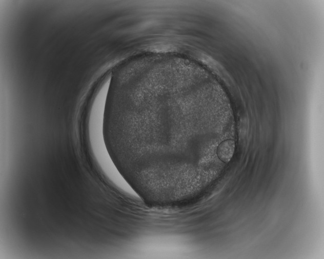 X0000088140727200706111425