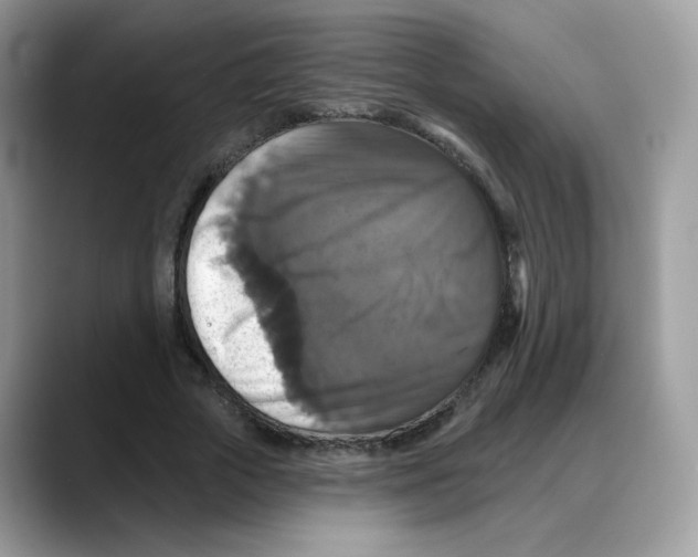 X0000088140729200706111425