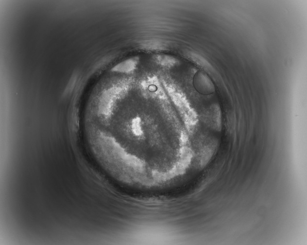 X0000088140731200706111425