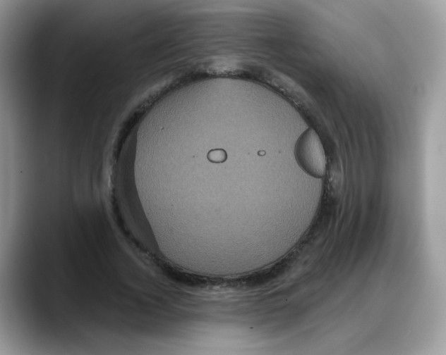 X0000088140732200706111425