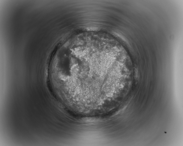 X0000088140733200706111425