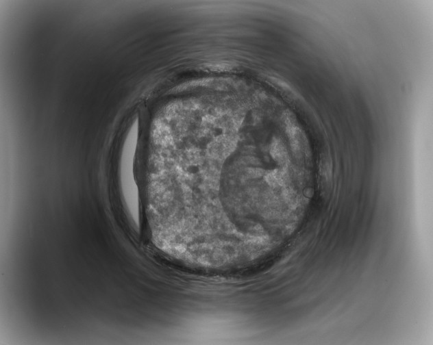 X0000088140734200706111425