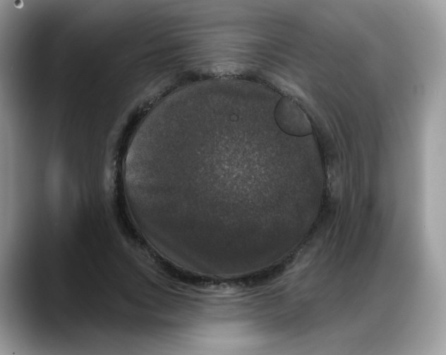 X0000088140735200706111425