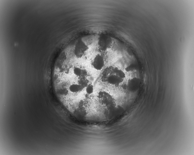 X0000088140737200706111425