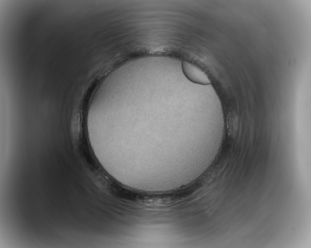 X0000088140740200706111425