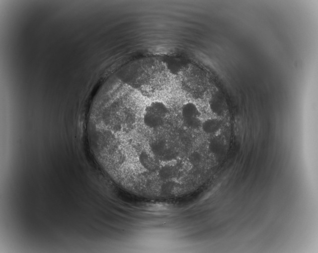 X0000088140741200706111425