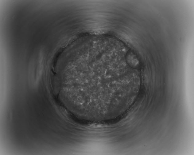 X0000088140742200706111425