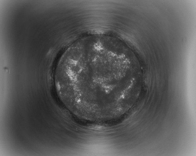 X0000088140743200706111425