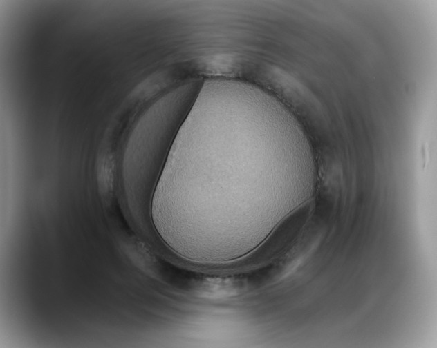 X0000088140744200706111425