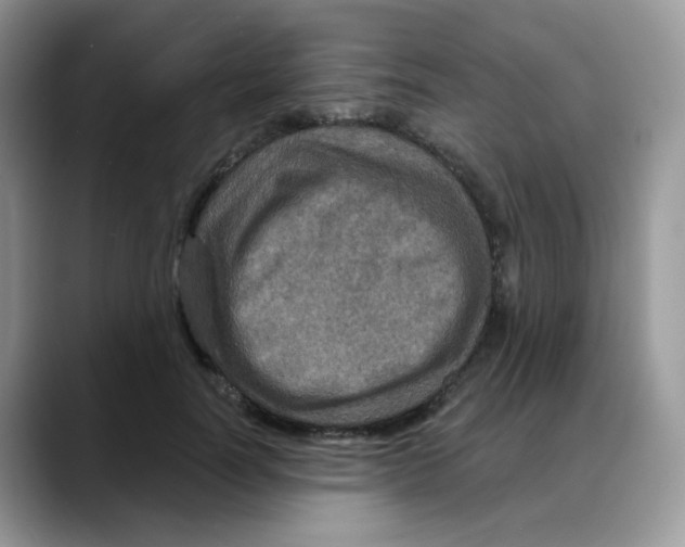 X0000088140746200706111425