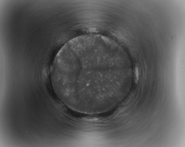 X0000088140747200706111425