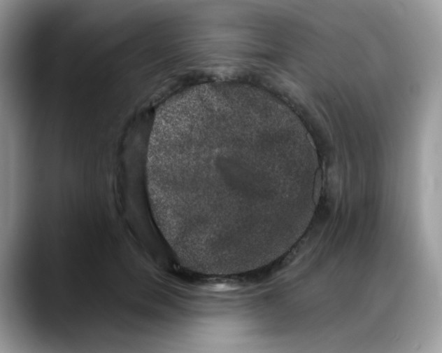 X0000088140750200706111425