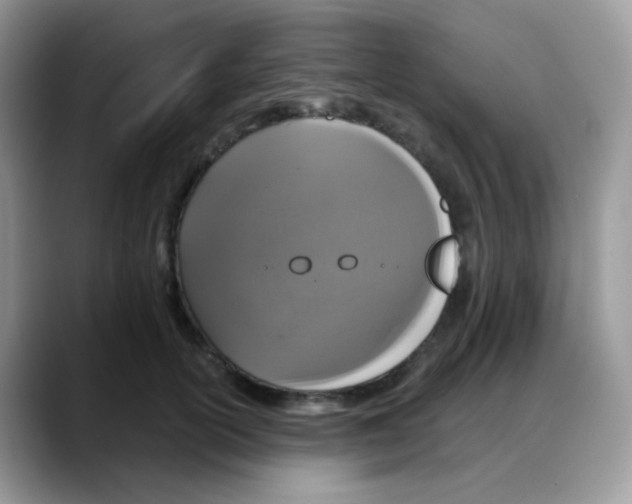 X0000088140754200706111425