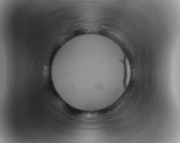 X0000088140756200706111425