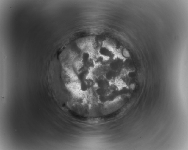 X0000088140757200706111425