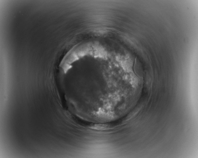 X0000088140758200706111425